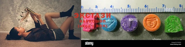 гашик Аркадак