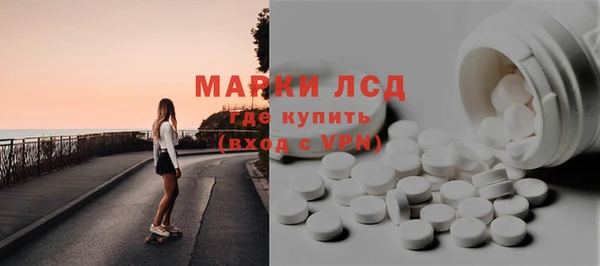 гашик Аркадак