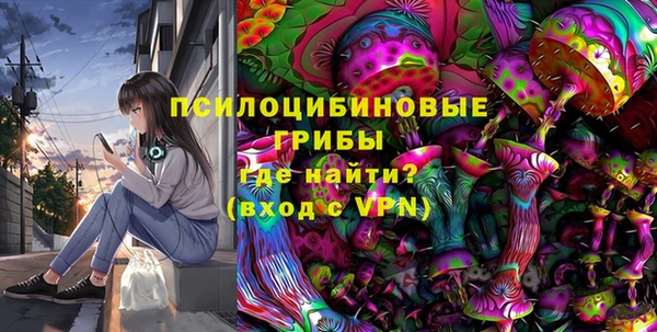 гашик Аркадак