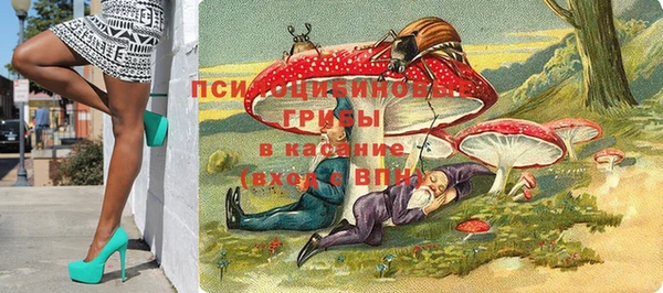 гашик Аркадак