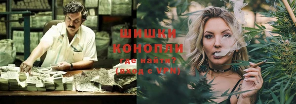 гашик Аркадак