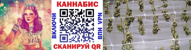 Марихуана OG Kush  Пустошка 